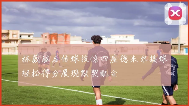 林葳脑后传球技惊四座德米尔接球轻松得分展现默契配合