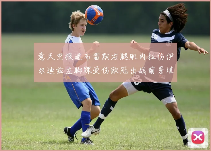 意天空报道布雷默右腿肌肉拉伤伊尔迪兹左脚踝受伤欧冠出战前景堪忧