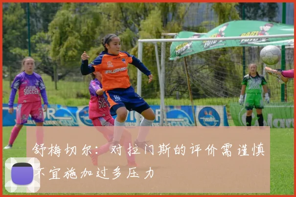 舒梅切尔：对拉门斯的评价需谨慎不宜施加过多压力
