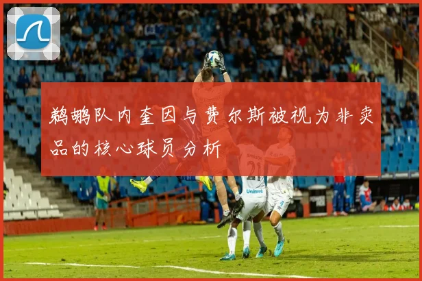 鹈鹕队内奎因与费尔斯被视为非卖品的核心球员分析