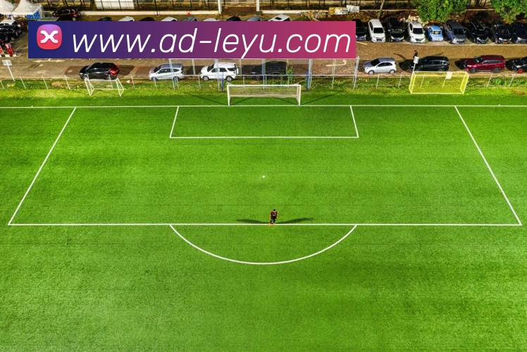 乐鱼体育APP 封面图