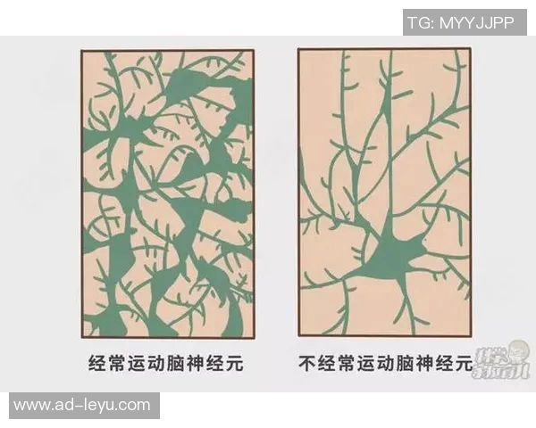 文班谈身体发育对自己节奏的影响现在能更好地发挥潜力与能力 文班谈身体发育对自己节奏的影响现在能更好地发挥潜力与能力